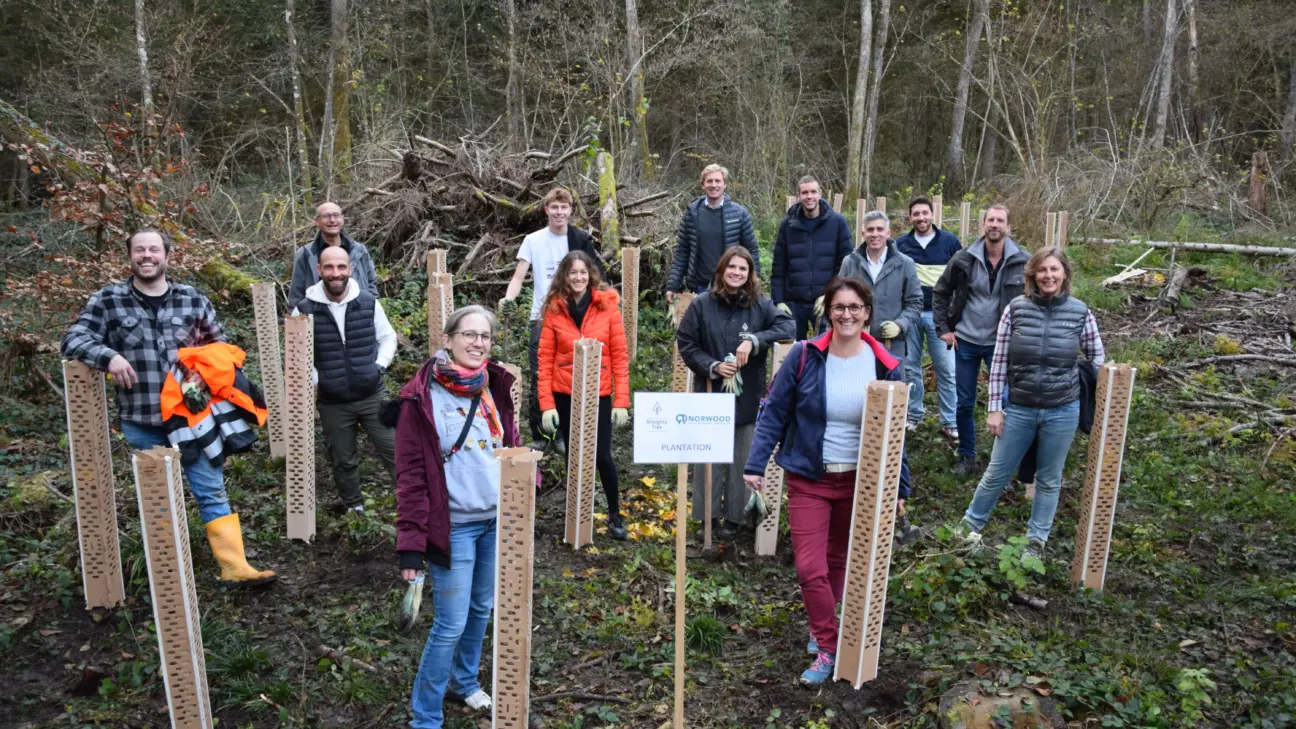 Team building Norwood : une journée engagée avec Almighty Tree