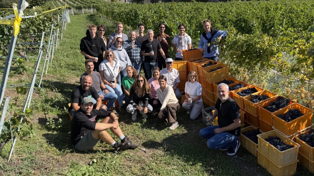 Team Building Norwood : vendanges à Lutry aux côtés du Domaine Paschoud