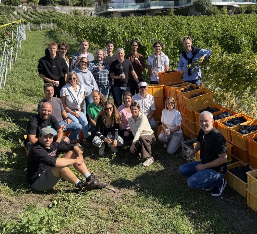 Équipe Norwood lors des vendanges à Lutry au Domaine Paschoud, dans le vignoble de Lavaux